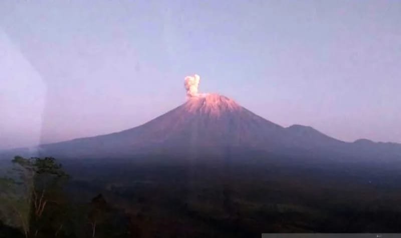 Minggu Pagi Gunung Semeru Empat Kali Erupsi Minggu, Tinggi Letusan 900 Meter 1 IMG 20250803 WA0039