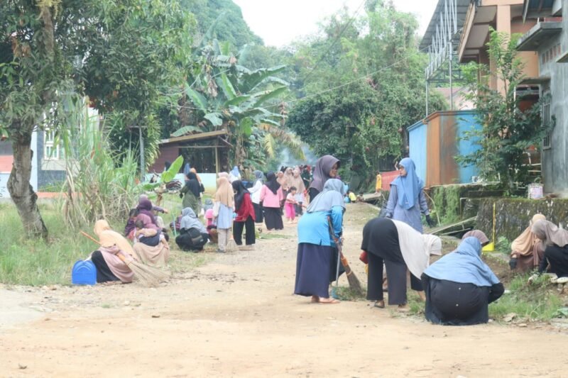 IMG 20250803 WA0051 e1754227882742