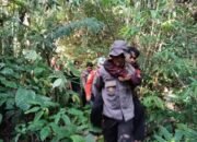 Satu Pendaki Tewas dan Enam Luka-Luka Tersambar Petir di Gunung Bawang
