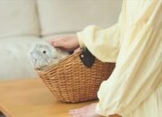 Robot Peliharaan Berbulu Berbasis AI Populer di Jepang 10 Robot Peliharaan Berbulu Berbasis AI Populer di Jepang
