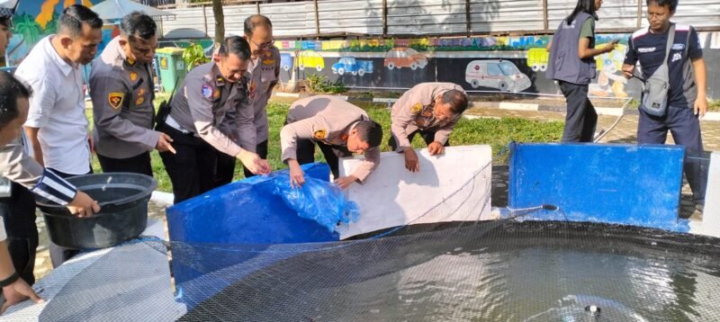 IMG 20250807 WA0031 e1754553330841