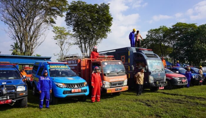 PLN Indonesia Power UBP Barito Siaga Hadapi Karhutla di Kalsel, Lindungi Pembangkit dan Jaga Ekosistem