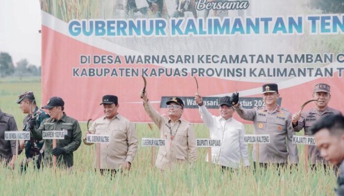 Dorong Petani Milenial Berbasis Teknologi, Gubernur Kalteng Hadiri Panen Raya