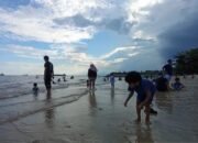 BMKG Balikpapan Minta Waspada Pasang Laut 2,8 Meter di Pesisir Kaltim 16 BMKG Balikpapan Minta Waspada Pasang Laut 2,8 Meter di Pesisir Kaltim