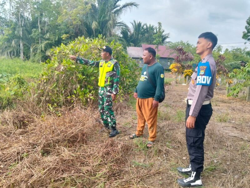 IMG 20250812 WA0057 e1755005171849