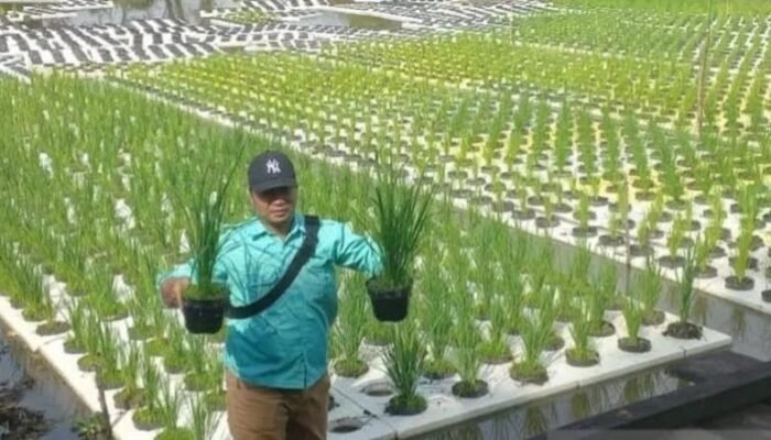 Inovasi Padi Apung Dukung Kalimantan Selatan Sebagai Lumbung Pangan dan Program Asta Cita Presiden RI