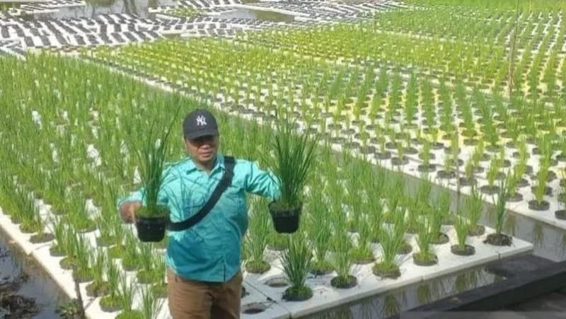 IMG 20250814 WA0004 1