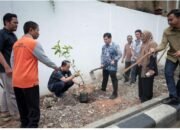 Sambut HUT ke-75 Kalsel, Sekretaris DPRD Bersama Pejabat Struktural Tanam Pohon di Lingkungan Kantor Dewan 10 Sambut HUT ke-75 Kalsel, Sekretaris DPRD Bersama Pejabat Struktural Tanam Pohon di Lingkungan Kantor Dewan