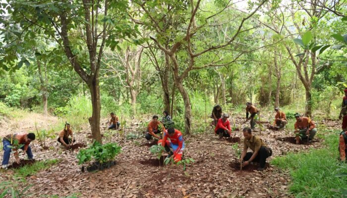 IMG 20250821 WA0057 1