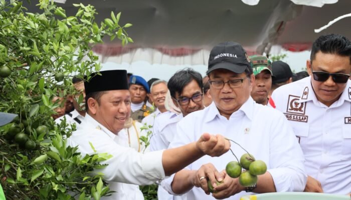 Wamen Transmigrasi Kunjungi Kawasan Transmigrasi Cahaya Baru