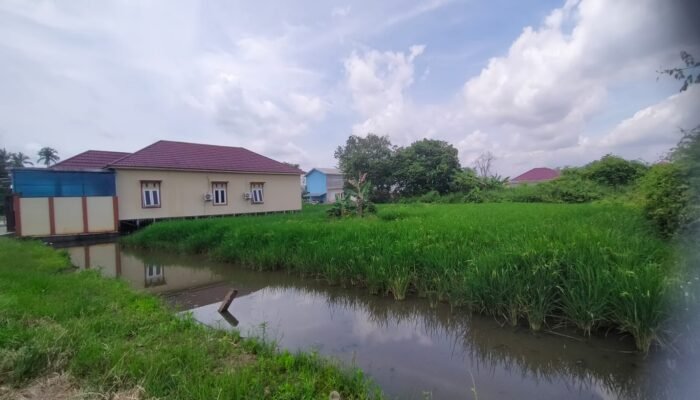 Banjarmasin Diminta Pusat Cetak Sawah Sekitar 1.380 Hektare, Ternyata Lahannya Berlabel Non Pertanian