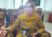 Karasmin Banua Tampilkan Parade Budaya Hingga Partisipasi UMKM 9 Karasmin Banua Tampilkan Parade Budaya Hingga Partisipasi UMKM