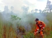 Hingga 20 Agustus Ratusan Hektare Terbakar 7 Hingga 20 Agustus Ratusan Hektare Terbakar