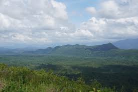 Disikapi, Sama-sama Jaga dan Lestarikan Endemik 1 meratus