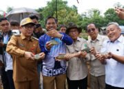 Panen Papuyu, Dorong Ketahanan Pangan Lokal 37 Panen Papuyu, Dorong Ketahanan Pangan Lokal