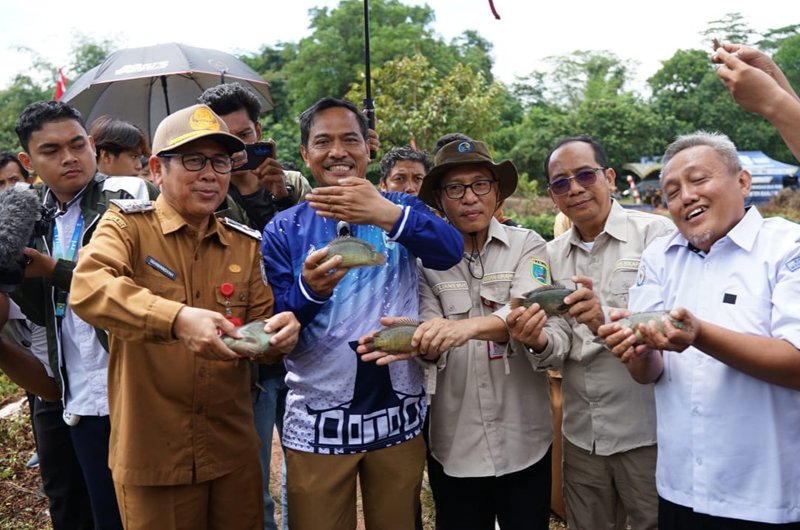 1 1 3 klm 55 cm Kontrak Martapura 15 Panen papuyu