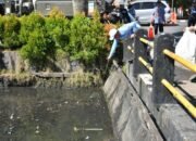 Kolaborasi Lintas Sektor di Harjad Banjarmasin Gelorakan Gerakan Bersih Sungai 34 Kolaborasi Lintas Sektor di Harjad Banjarmasin Gelorakan Gerakan Bersih Sungai