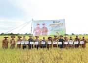 Pemkab HSU Berikan Perhatian Pengembangan Sektor Pertanian