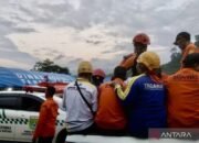 Tim SAR Gabungan Kerahkan60 Orang Evakuasi Korban Heli Jatuh di Hutan Mentewe Tanah Bumbu 33 Tim SAR Gabungan Kerahkan60 Orang Evakuasi Korban Heli Jatuh di Hutan Mentewe Tanah Bumbu