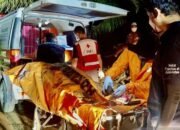 Sekitar 31 Jam Tim SAR Evakuasi Delapan Jasad Korban Heli Jatuh di Kalsel 10 Sekitar 31 Jam Tim SAR Evakuasi Delapan Jasad Korban Heli Jatuh di Kalsel