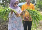 Sekolah di Katingan Raih Penghargaan Nasional 10 Sekolah di Katingan Raih Penghargaan Nasional