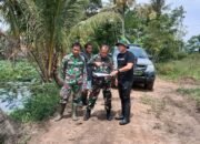 Dandim 1002/HST Cek Lapangan Cetak Sawah Rakyat 23 Dandim 1002/HST Cek Lapangan Cetak Sawah Rakyat