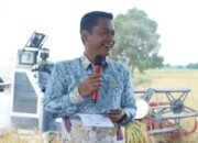 Petani Sungai Lulut Panen Melimpah, Wali Kota Yamin Sebut Mereka Pejuang Ketahanan Pangan 42 Petani Sungai Lulut Panen Melimpah, Wali Kota Yamin Sebut Mereka Pejuang Ketahanan Pangan