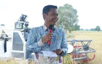 Petani Sungai Lulut Panen Melimpah, Wali Kota Yamin Sebut Mereka Pejuang Ketahanan Pangan 9 IMG 20250911 WA0036