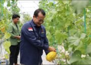 Terapkan Teknologi Smart Farming, Kalteng Kerjasama dengan UPN Veteran Yogyakarta 22 Terapkan Teknologi Smart Farming, Kalteng Kerjasama dengan UPN Veteran Yogyakarta