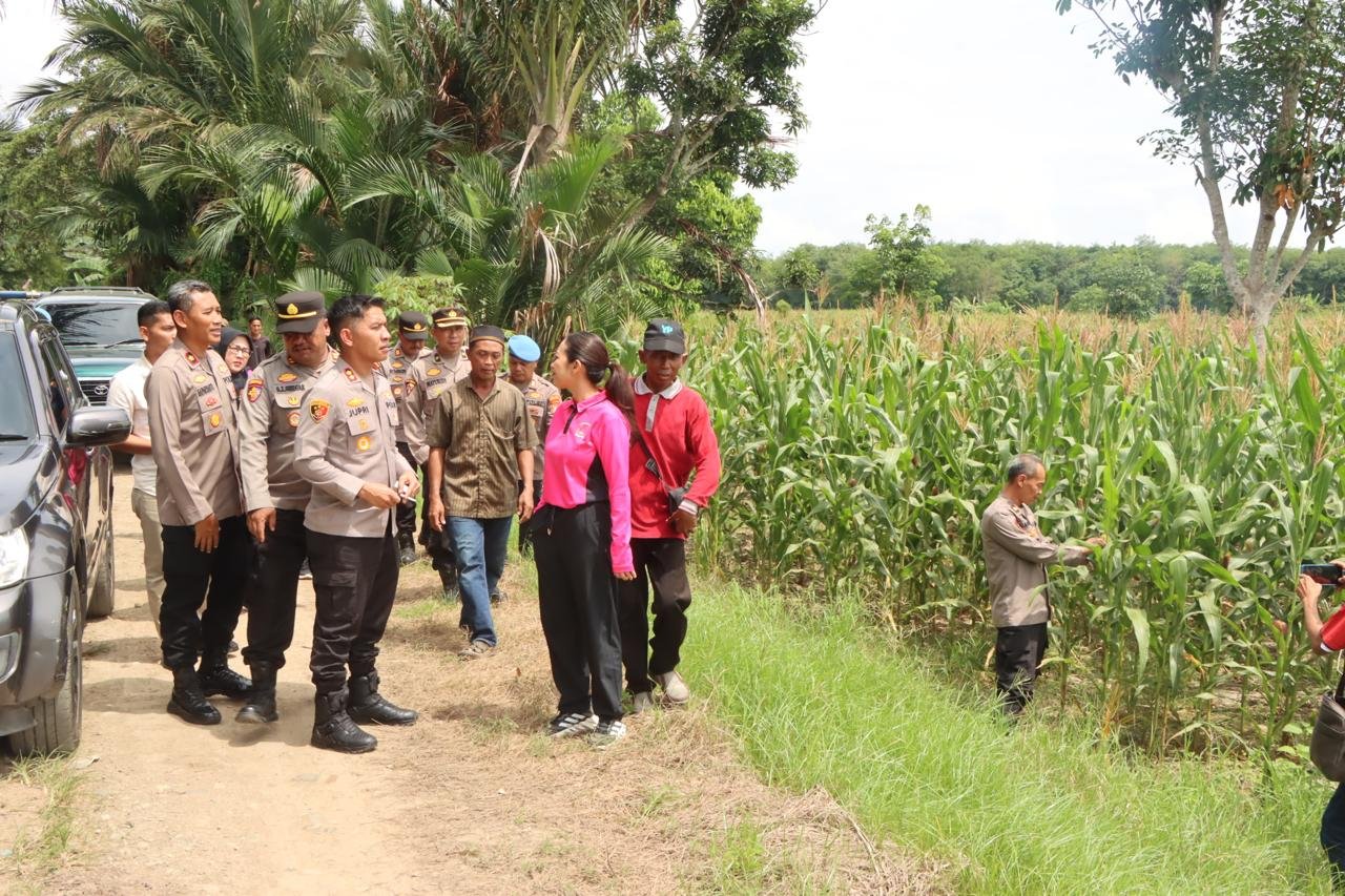 Kapolres HST dan Ketua Bhayangkari Cek Perkebunan Jagung 1 IMG 20250917 WA0045