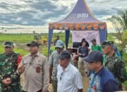 Direktorat Jenderal Kementerian Pertanian Monitoring Cetak Sawah HST