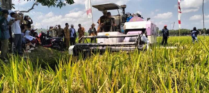 IMG 20250923 WA0011 e1758610982201