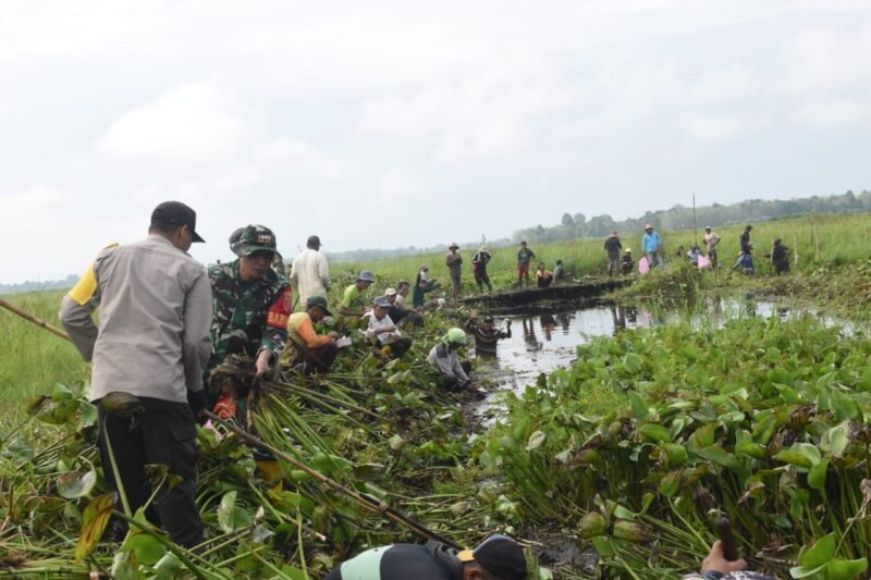 IMG 20250925 WA0013 e1758790606165