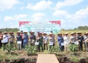 Polda Kalsel Serahkan 30 Ton Jagung Hasil Panen kepada Bulog