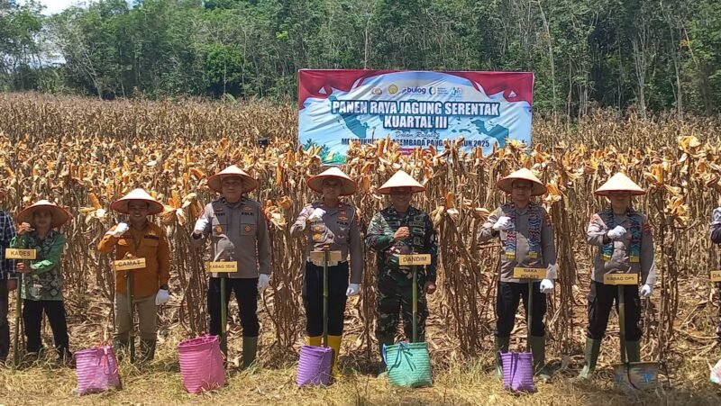 IMG 20250928 WA0027 e1759025018577