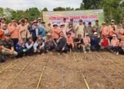 Percepatan Tanam Padi Gogo di Tiwingan Lama 31 Percepatan Tanam Padi Gogo di Tiwingan Lama