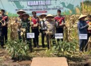 Polda Kalsel Panen 1.000 Ton Jagung, Serentak Kuartal III di Lahan Basah