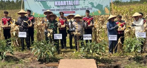 Polda Kalsel Panen 1.000 Ton Jagung, Serentak Kuartal III di Lahan Basah 1 WhatsApp Image 2025 09 27 at 13.36.58 scaled e1758985699881