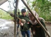 Disperindag Balangan Jalankan Inovasi “Panting Karet”