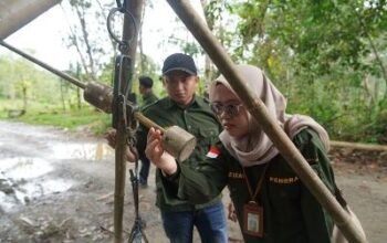 Disperindag Balangan Jalankan Inovasi "Panting Karet" 9 Hal 2 Bal 3 klm 6