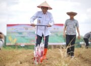 Tanam Jagung Serentak, Dukung Swasembada Pangan 2025 24 Tanam Jagung Serentak, Dukung Swasembada Pangan 2025
