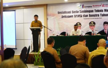 Sosialisasi dan Bimtek Manajemen Risiko RPJMD 2025–2029 9 Hal 2 Tala 1 3 klm 16