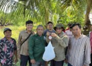 Padi Inpari IR Nutri Zinc Perangi Kurang Gizi 30 Padi Inpari IR Nutri Zinc Perangi Kurang Gizi