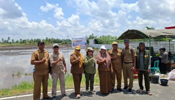 Kementan dan TPHP Kalteng Tingkatkan Luas Tanam