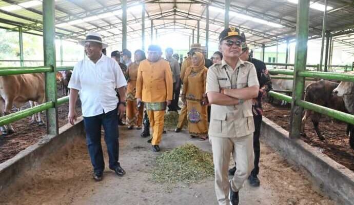 Gubernur Kalteng Tinjau Kawasan Peternakan BJA Farm