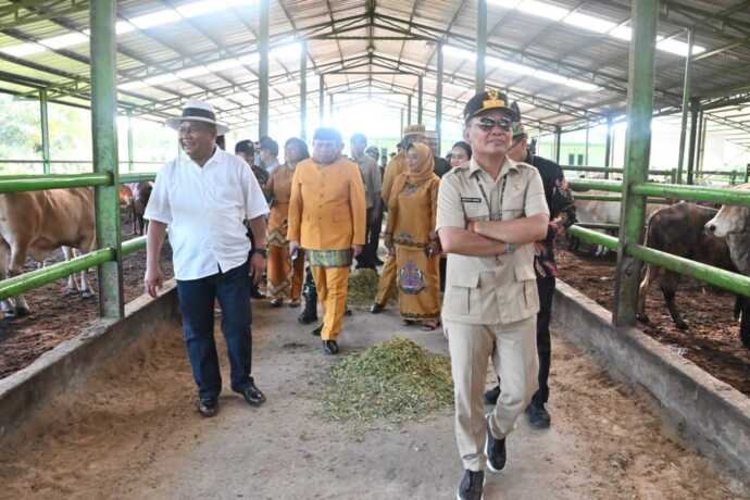 Gubernur Kalteng Tinjau Kawasan Peternakan BJA Farm 1 IMG 20251004 WA0002