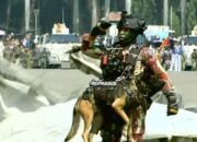 HUT ke-80 TNI, Prabowo Saksikan Aksi 80 Penerjun, ada Penerjun Satwa