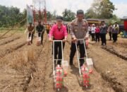 Polres HST Kembali Tanam Jagung Serentak