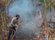 Polsek Kelumpang Hulu Padam Api di Lahan Terbakar Desa Bangkalan Dayak 21 Polsek Kelumpang Hulu Padam Api di Lahan Terbakar Desa Bangkalan Dayak