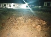 Diburu Patroli Polisi, Dua Pencuri Sawit di Kotabaru Serahkan Diri 8 Diburu Patroli Polisi, Dua Pencuri Sawit di Kotabaru Serahkan Diri
